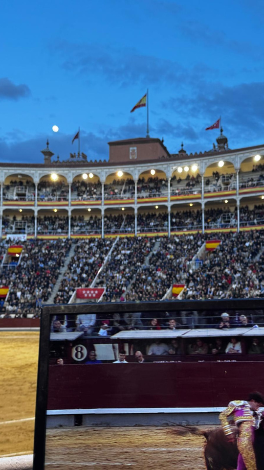 San Isidro, en Telemadrid