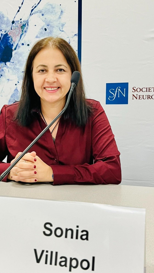 Sonia Villapol, investigadora