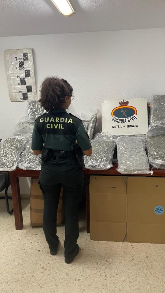 Sorprenden a un joven con casi 37 kilos de marihuana a plena luz del día en Calahonda
