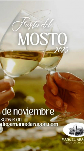 María Luisa Villareal, Bodegas Manuel Aragón