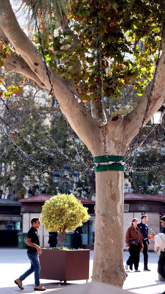 NAVIDAD EN VALENCIA