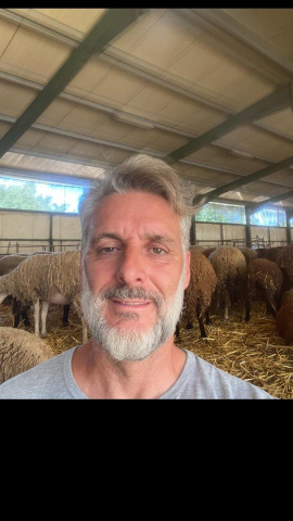 Pastoreo en Collserola