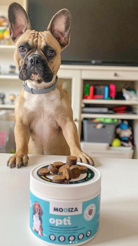 Uno de los productos de Mooiza antes de ser devorado por un perro.