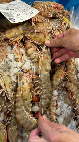José Carlos Macías, Técnico de la Cofradía de pescadores