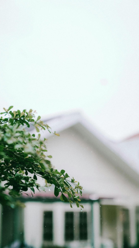 La lluvia y como aprovechar el tiempo en casa.