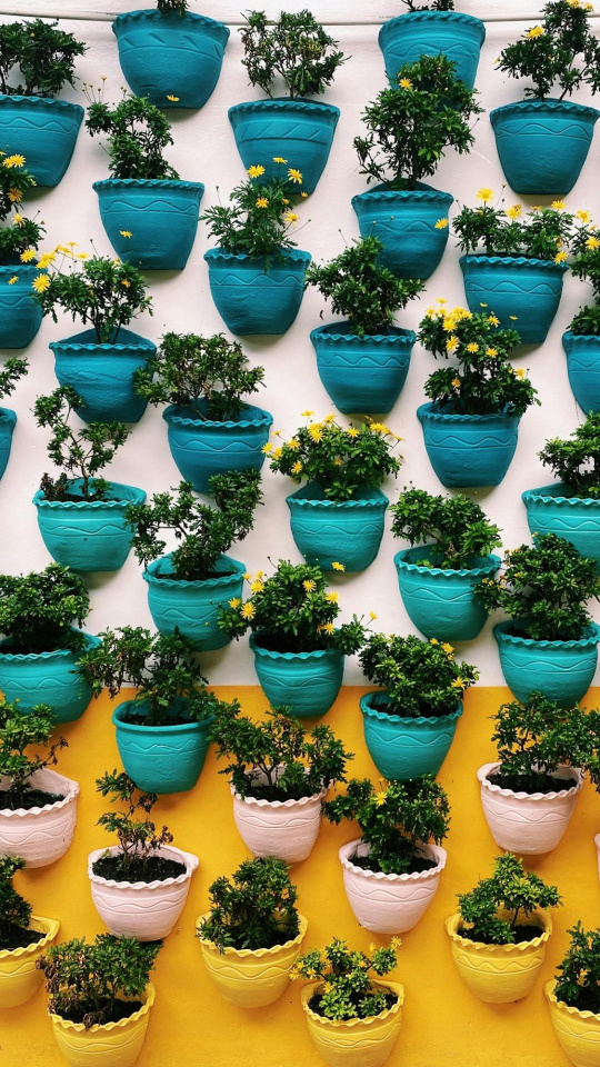 Ideas para crear un jardín vertical práctico y estético