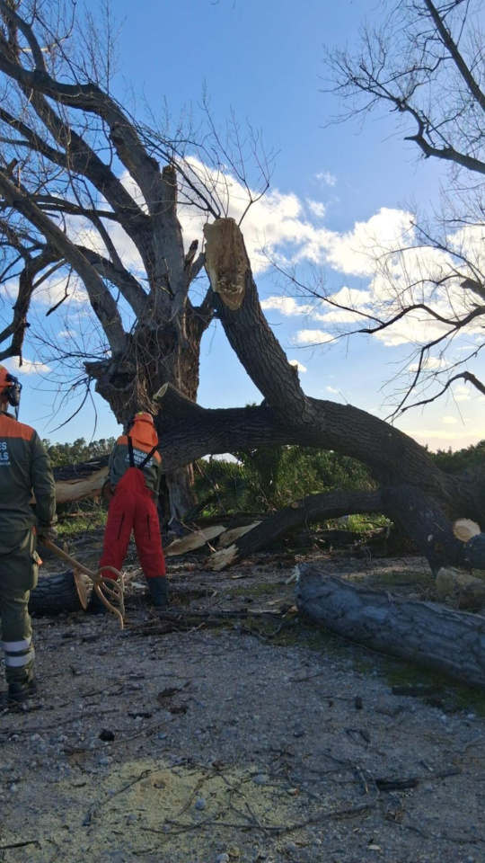 Daños ocasionados por la Borrasca Leonardo en Valencia