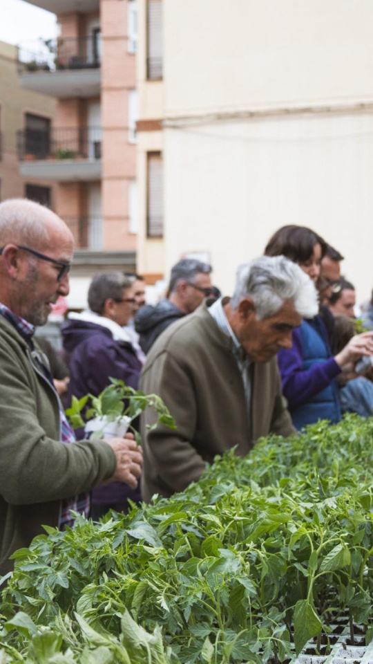 Recuperación de variedades tradicionales