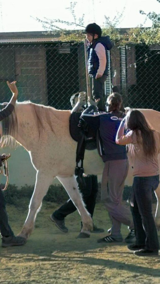 Trabajo con los caballos que investiga y analiza el profesor Vives