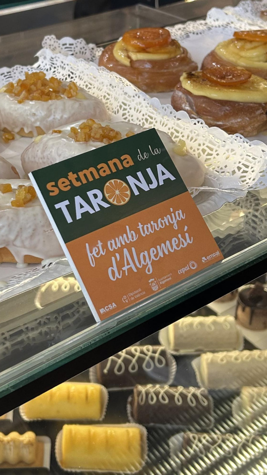 Ajuntament d'Algemesí