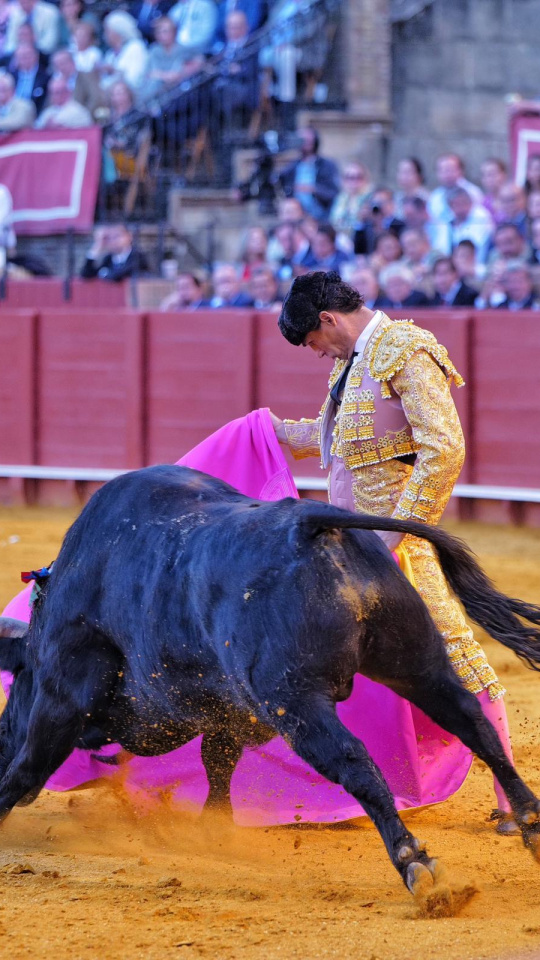 Pablo Aguado, a la verónica este viernes en Sevilla