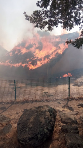 27/08/2024 Imagen del castro vetón de El Raso (Ávila) afectado por las llamas.

Las llamas del incendio forestal de nivel 1 declarado este martes, 27 de agosto, en la localidad de El Raso, en el municipio abulense de Candeleda, han afectado al yacimiento arqueológico de castro vetón, uno de los más completos de la protohistoria de la meseta que data de los siglos V al I a.C.

ESPAÑA EUROPA CASTILLA Y LEÓN SOCIEDAD