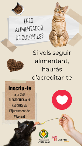 Cartel Jornadas Formación Felinas Vila-real
