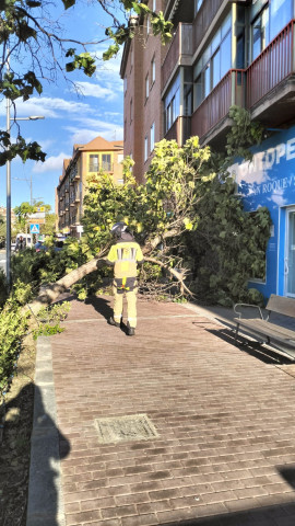 Fuertes rachas de viento en Ávila