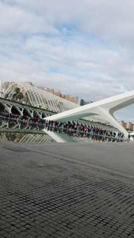 Recogida de Alimentos en Mestalla