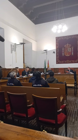 El acusado niega ser el autor de la agresión que mató a Castillo Higueras: "Intenté ayudarle"