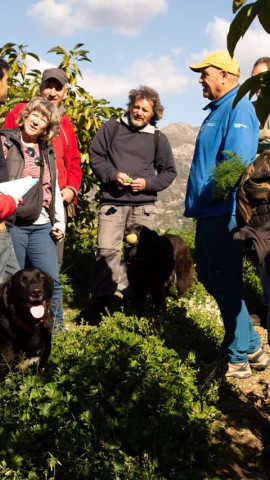 Parte del equipo que integra el proyecto operativo 'GO-SPG'.