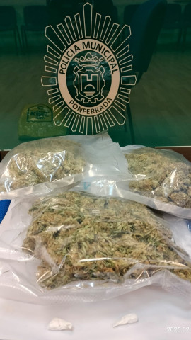 Una mujer detenida con dos bolsas de cocaína y 344 gramos de marihuana en Ponferrada (León)