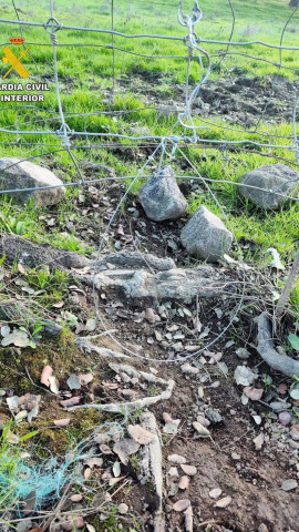 05/03/2025 Sevilla.- Sucesos.- Investigado en Constantina por la muerte de cuatro zorros capturados con trampas prohibidas.Efectivos del Servicio de Protección de la Naturaleza (Seprona) de la Guardia Civil investigan a una persona por un delito contra la flora y la fauna acusada de causar la muerte de cuatro zorros que fueron capturados con trampas prohibidas en la localidad sevillana de Constantina.POLITICA ANDALUCÍA ESPAÑA EUROPA SEVILLAGUARDIA CIVIL