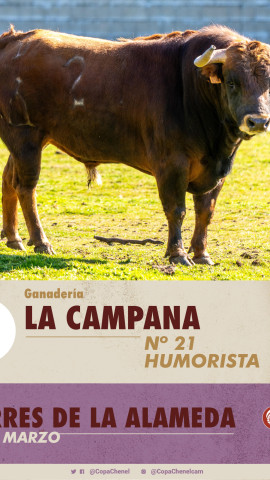 Toro de La Campana para la Copa Chenel