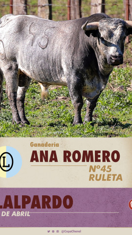 Toro de Ana Romero para Alalpardo