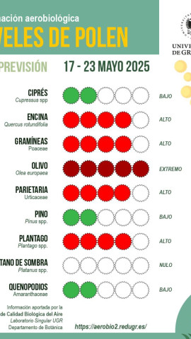 Informe Polen 15 mayo
