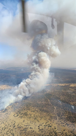 Incendio entre Arroyomolinos y Alcuéscar
