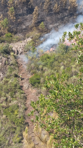 El consejero de Presidencia de la Junta de Extremadura, Abel Bautista