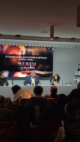 Entrevista a Enrique Pascual, presidente de la D.O. Ribera del Duero