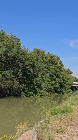 Imagen del Canal Imperial de Aragón