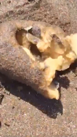 extrañas bolas en la playa de Melenara