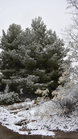 Nieve en Castilla la Mancha