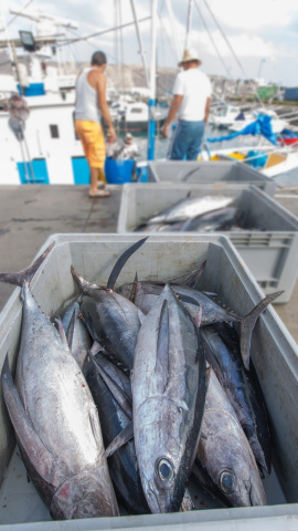 Pescado en un mercado
