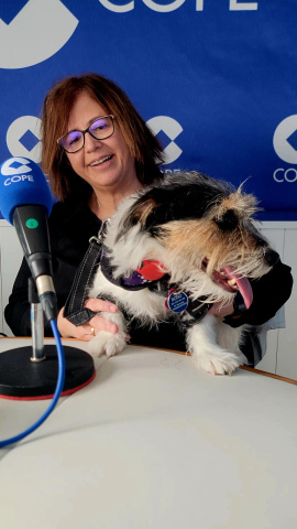 Bono, el perro que se avisa de subidas y bajadas de azúcar