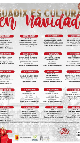 Programación navideña