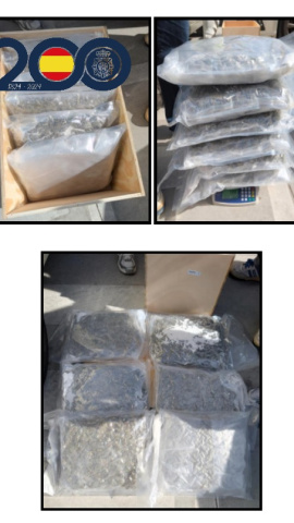 Foto cogollos de droga