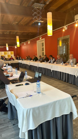 Pleno de la DO Rías Baixas