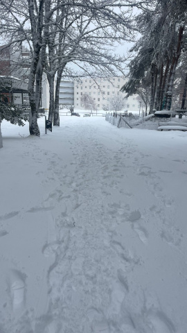 Los esquiadores disfrutaron durante este inicio de temporada de invierno