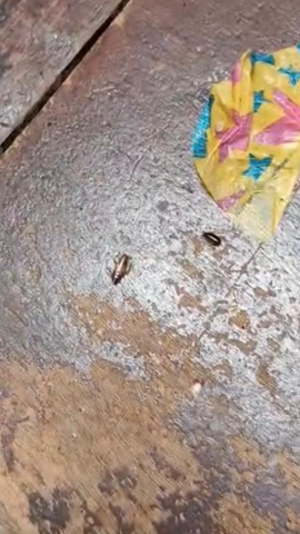 Esto es una entrevista en Herrera en COPE Gran Canaria con ...... es obligatorio que lo menciones para contextualizar la noticia y tenerla en cuenta en su redacción.Busca un titular atractivo que fomente la lectura de la misma.Plagas en el barco