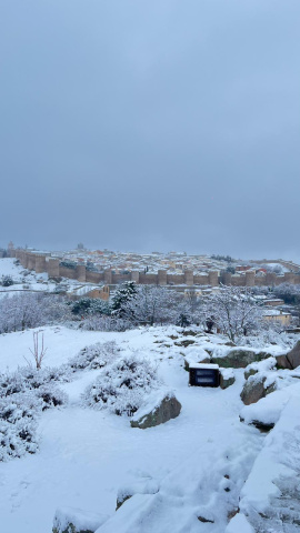 Ávila nevada