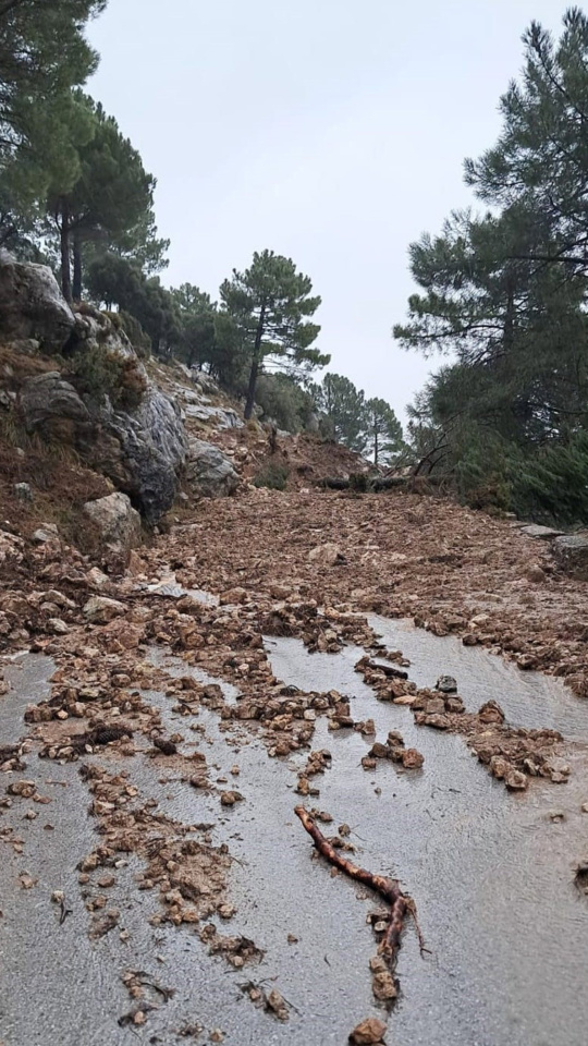 Carretera Grazalema- Zahara cortada por deslizamiento de tierras