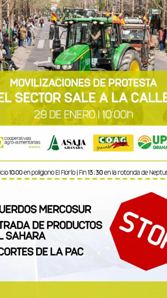 Cartel de la manifestación