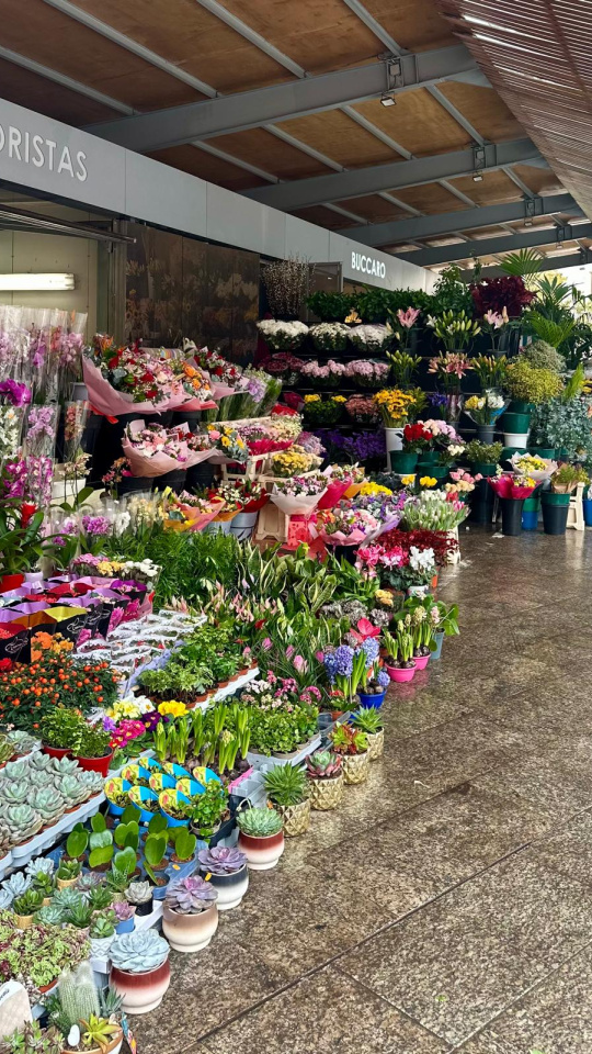 Alicante abre los puestos de flores del Mercado Central este sábado 14 de febrero de 7 a 18 horas por San Valentín
