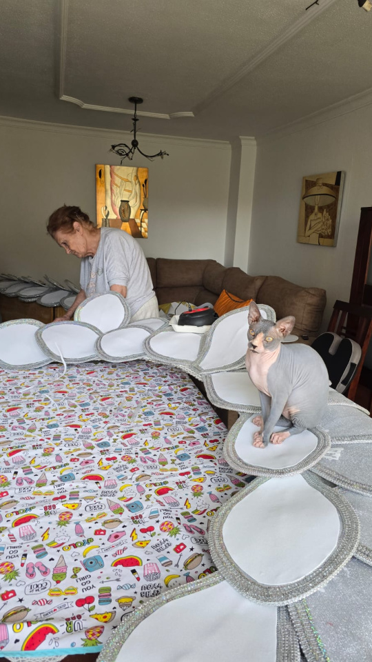 Entrevista Mari Patrón, Presidenta de los diseñadores del Carnaval de Las Palmas de Gran Canaria