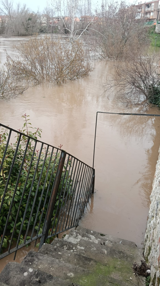 Inundación en Tudela de Duero