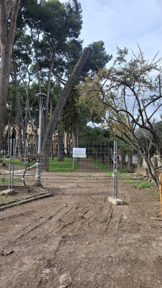 El pinar se cierra como medida preventiva