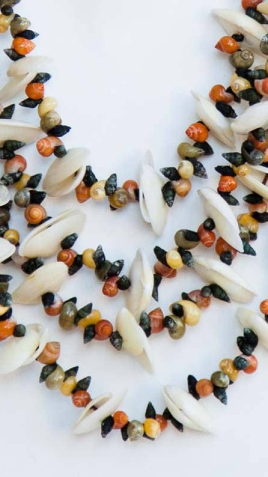 Collar de conchas de mar