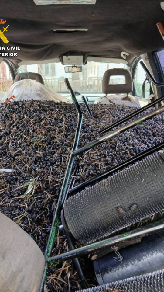 Vehículo intervenido durante el operativo