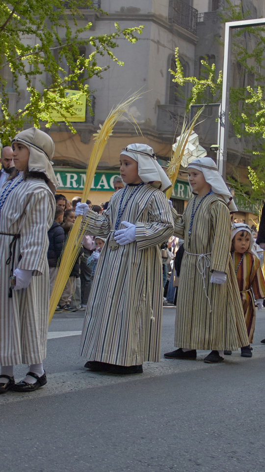 Domingo de Ramos en Granada