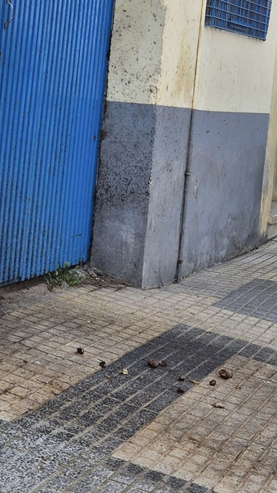 El infierno de unos vecinos de Mérida: una mujer les arroja orina y excrementos a diario